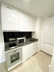 Robinson Suites (D1), Apartment #458913041